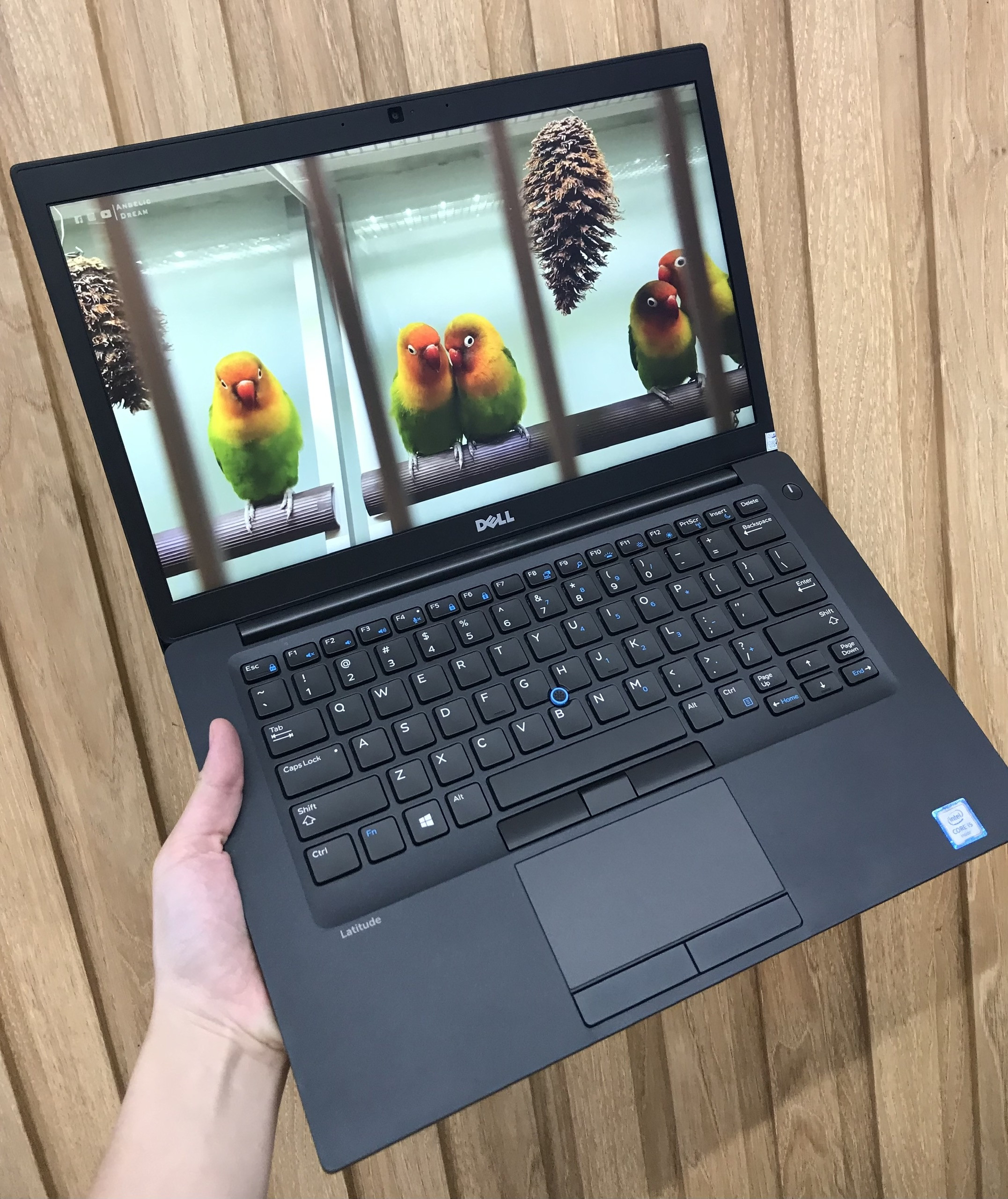 Laptop Dell Latitude 7480 (CPU I7, Ram 8G, SSD 256G) - Thế hệ 7